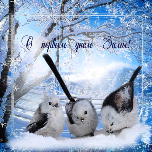 Красивая открытка с первым днем зимы Птички