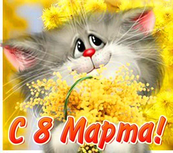 Открытки Прикольные открытки и картинки на 8 марта Открытки на 8 Марта Мишка
