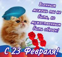 Открытка, 23 февраля, поздравление, День Защитника Отечества, мужской праздник, котенок, берет, гвоздики