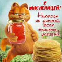 Открытка, картинка, Масленица, русская традиция, поздравление, русская традиция, кот, блины, икра, стихи