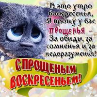 Открытка, картинка, Прощенное Воскресенье, русская традиция, стихи, пожелание, котик