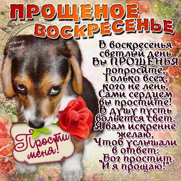 Открытка, картинка, Прощенное Воскресенье, русская традиция, православный праздник, прощение, щенок