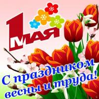 Открытка, картинка, 1 мая, Первомай, праздник, День весны и труда, поздравление, мир, труд, май, тюльпаны, цветы