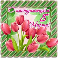 Открытка, картинка, 8 марта, международный женский день, праздник, поздравление, тюльпаны, цветы