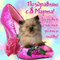 Открытка, картинка, 8 марта, международный женский день, праздник, поздравление, туфелька, котенок