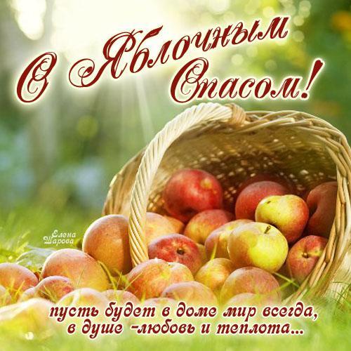 Открытка, картинка, Яблочный спас, открытка с яблочным спасом, праздник 19 августа, яблоки, ежик, Поздравление с яблочным спасом, урожай