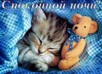 Открытка, спокойной ночи, сладких снов, котенок, игрушка, одеяло