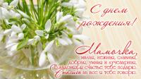открытка, с днем рождения маме, поздравление, нежные цветы, ваза