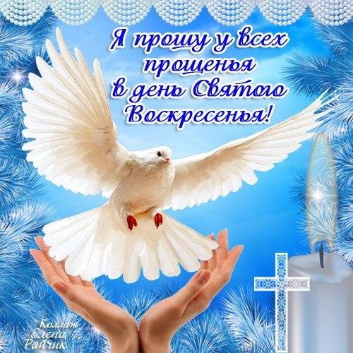 Открытка, картинка, Прощенное Воскресенье, русская традиция, голубь