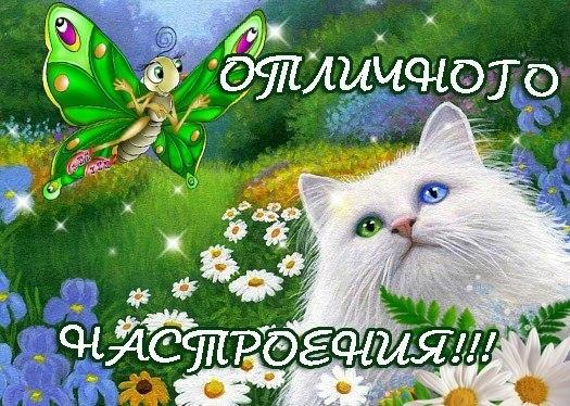 Открытки Открытки и картинки Хорошего настроения Открытка, картинка, пожелание, открытка хорошего настроения, открытка для тебя, открытка тебе, открытка отличного настроения